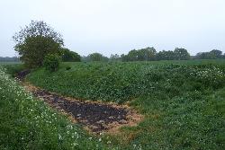 Ruxox Monastic Enclosure